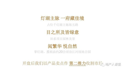 滨江首府项目年度整合推广与公关策略方案