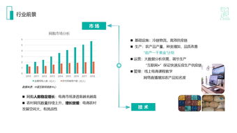 打通农村商品上下行 农村电商项目商业计划书范文解析与案例分享